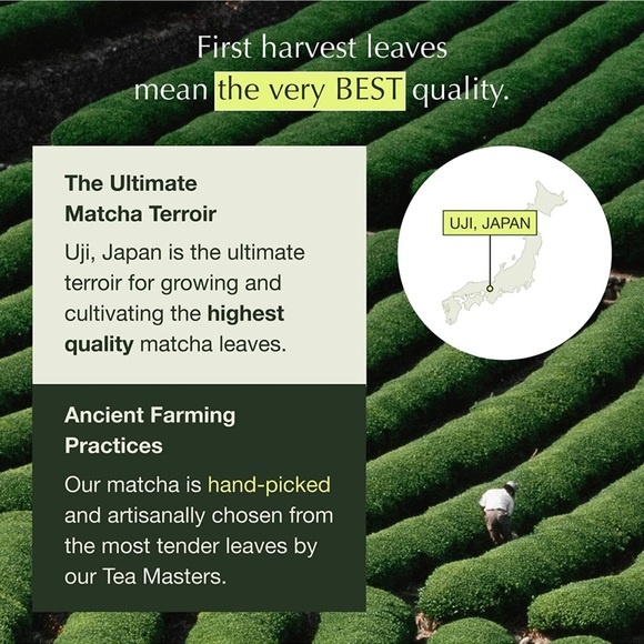 New - Encha Organic Ceremonial Grade Matcha Green Tea From Uji, Japan (60g) - Picture 2 of 9